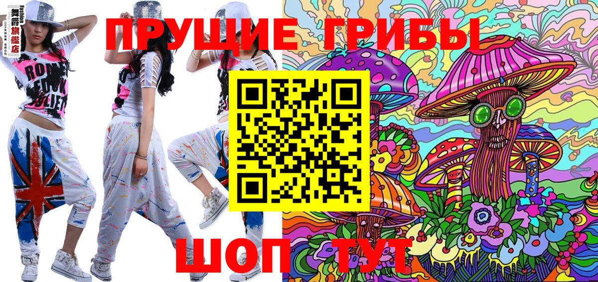как найти наркотики  Вход с VPN  Новосибирск  Галлюциногенные грибы Psilocybe 